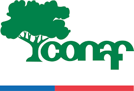 logo-conaf